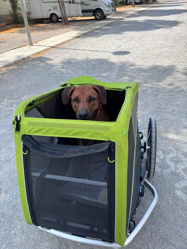 Croozer Jokke (XL) Fietskar voor hond, Fietsen en Brommers, Ophalen, Gebruikt, Opvouwbaar, Croozer