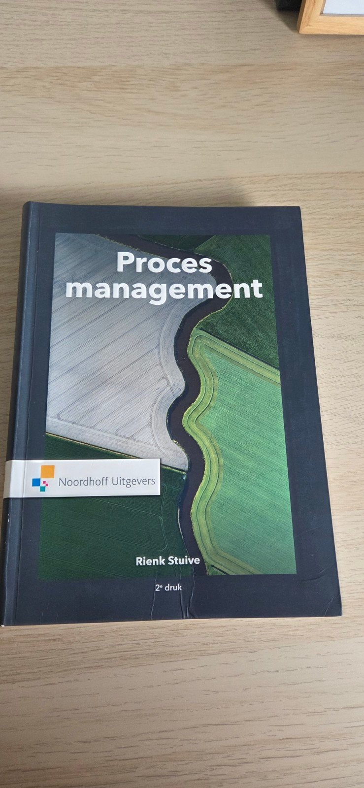 Rienk Stuive - Procesmanagement, Boeken, Sociale wetenschap, Rienk Stuive, Ophalen of Verzenden, Zo goed als nieuw