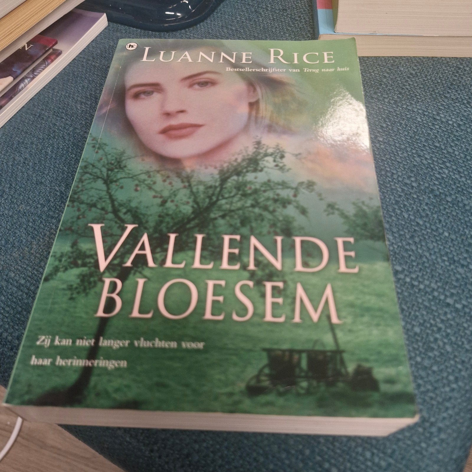 Vallende Bloesem - Luanne Rice, Ophalen of Verzenden, Gelezen, Luanne Rice