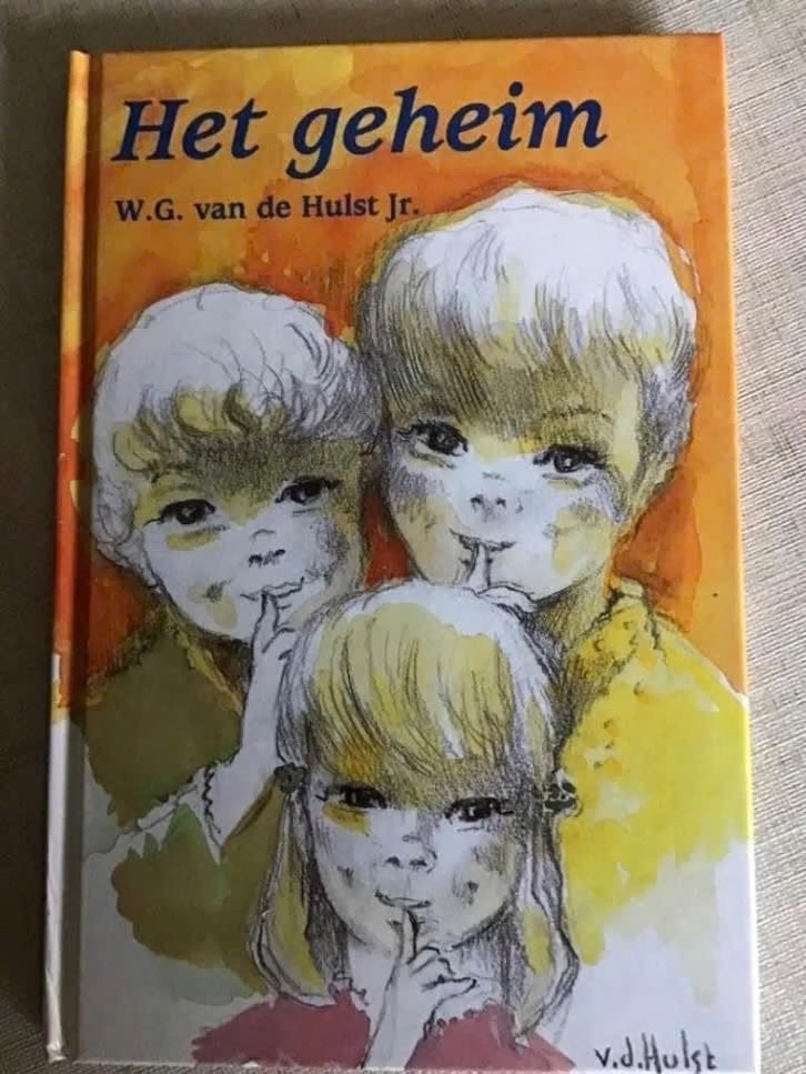 Het geheim van W.G.van de Hulst Jr., Ophalen of Verzenden, Gelezen, Fictie algemeen