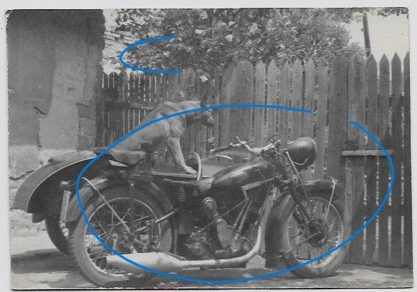 Herdershond op motor zijspan foto, Verzenden, Foto, Zo goed als nieuw, Voor 1940