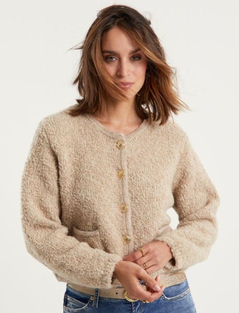 Giulia e Tu Stijlvol Beige Vest met Gouden Knopen, Kleding | Dames, Beige, Maat 42/44 (L), Nieuw, Ophalen of Verzenden