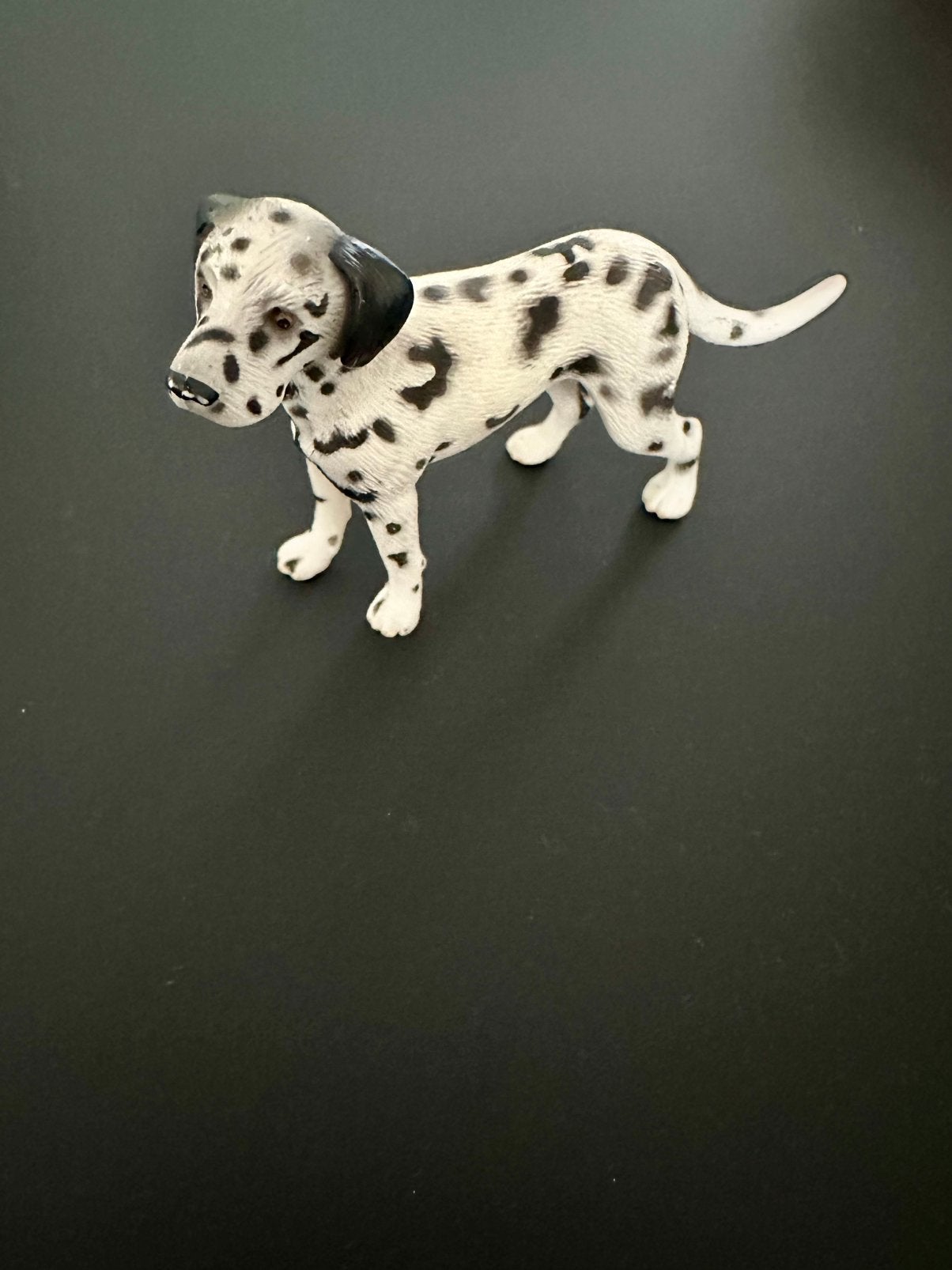 Schleich hond, Ophalen of Verzenden, Zo goed als nieuw, Hond of Kat, Beeldje of Figuurtje
