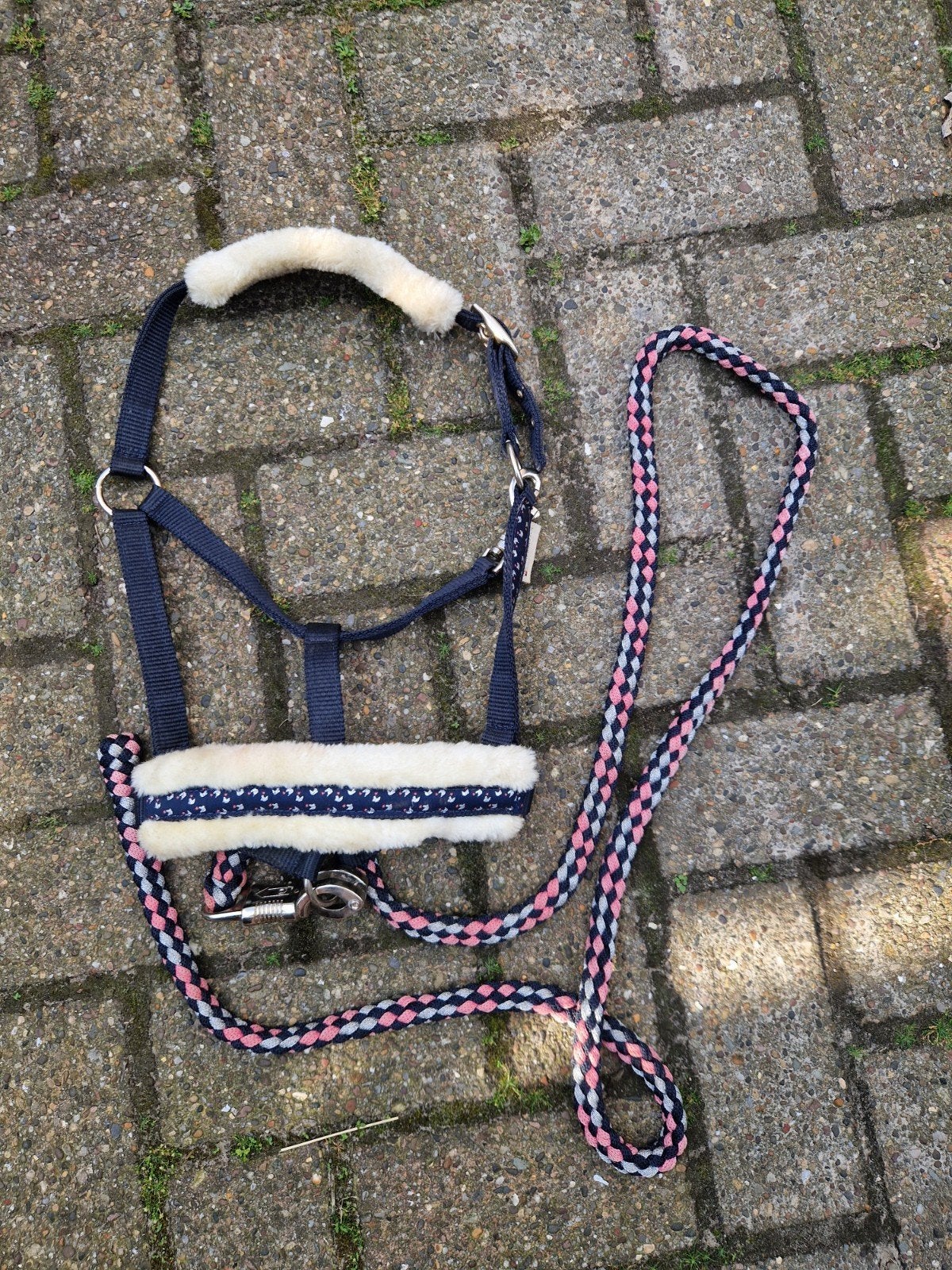 Shetland halster met touw., Dieren en Toebehoren, Shetlander, Ophalen of Verzenden, Blauw, Halster