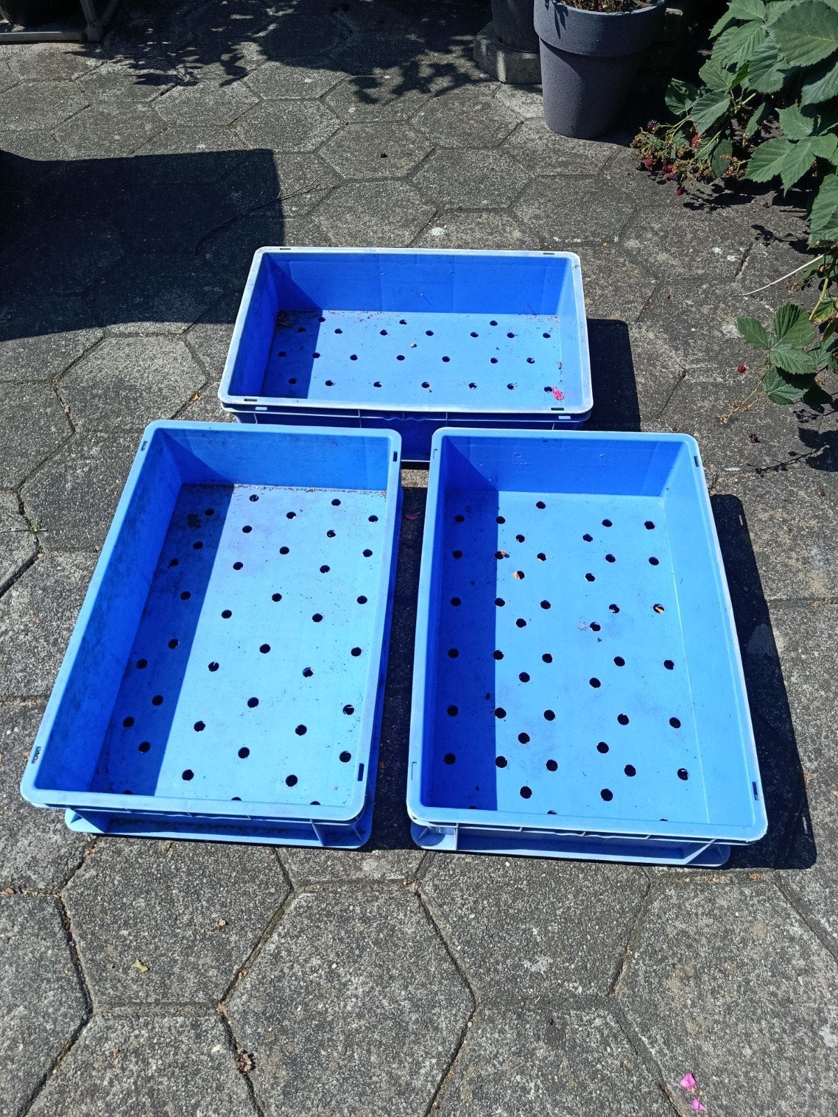 11x Kunststof bakken Vijverfilter, planten, ops, Tuin en Terras, Vijvers, Ophalen, Gebruikt