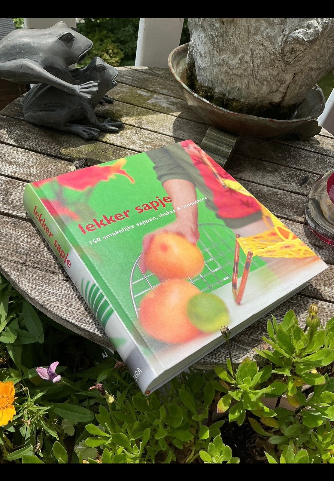 Dik boek over sappen & smoothies met als titel: Lekker sapje, Boeken, Ophalen of Verzenden, Zo goed als nieuw