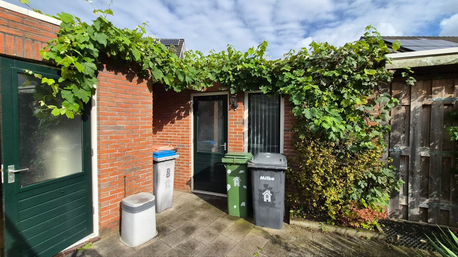 Druif, druivenplant - Vaste plant voor heerlijke druiven, Ophalen, Volle zon, Vaste plant, Klimplanten