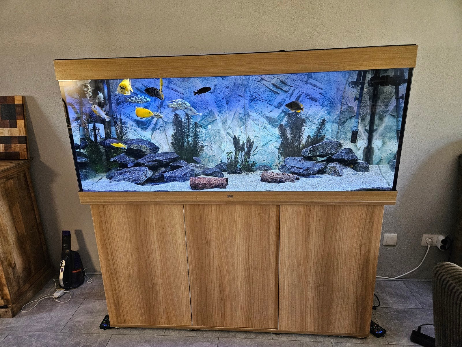 aquarium juwel rio 450  inc vissen, Dieren en Toebehoren, Vissen | Aquaria en Toebehoren, Ophalen, Gebruikt, Gevuld zoetwateraquarium