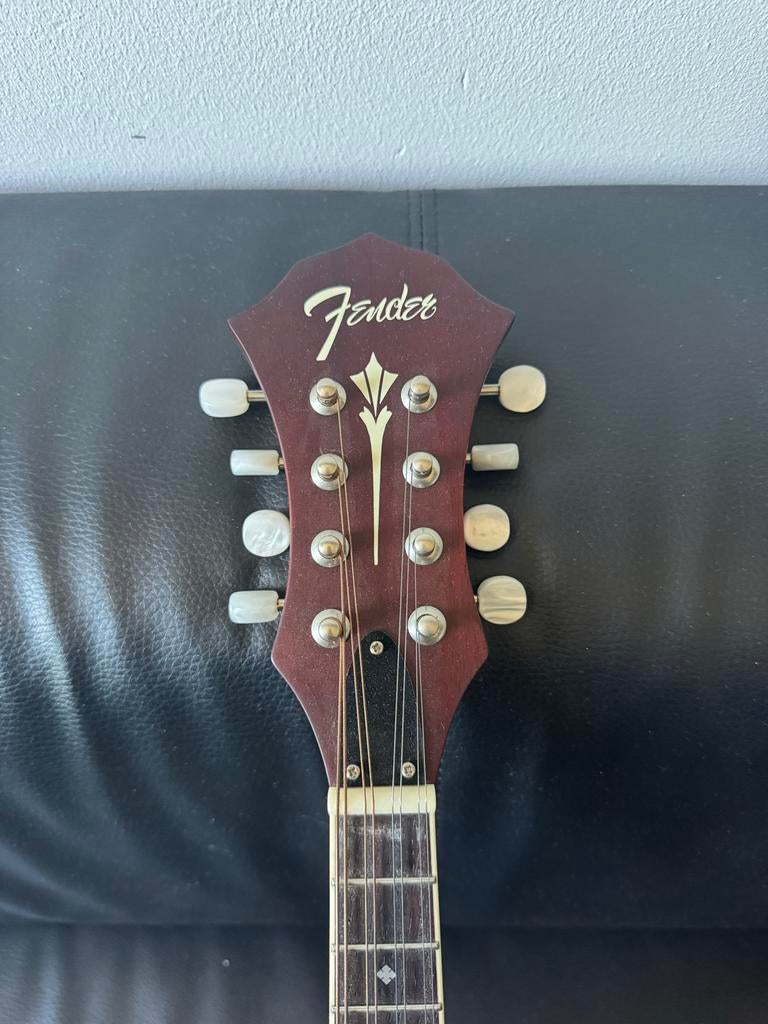 Fender PM-180E Mandoline - Nieuw, Muziek en Instrumenten, Snaarinstrumenten | Mandolines, Ophalen, Nieuw