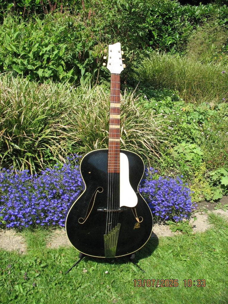 Framus Missouri 5/60, Muziek en Instrumenten, Ophalen, Gebruikt, Overige typen
