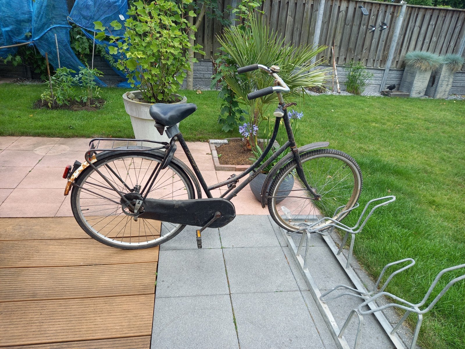 Vintage Caféracer Fiets - Opknapper, Terugtraprem, Gebruikt, 53 tot 57 cm, Ophalen