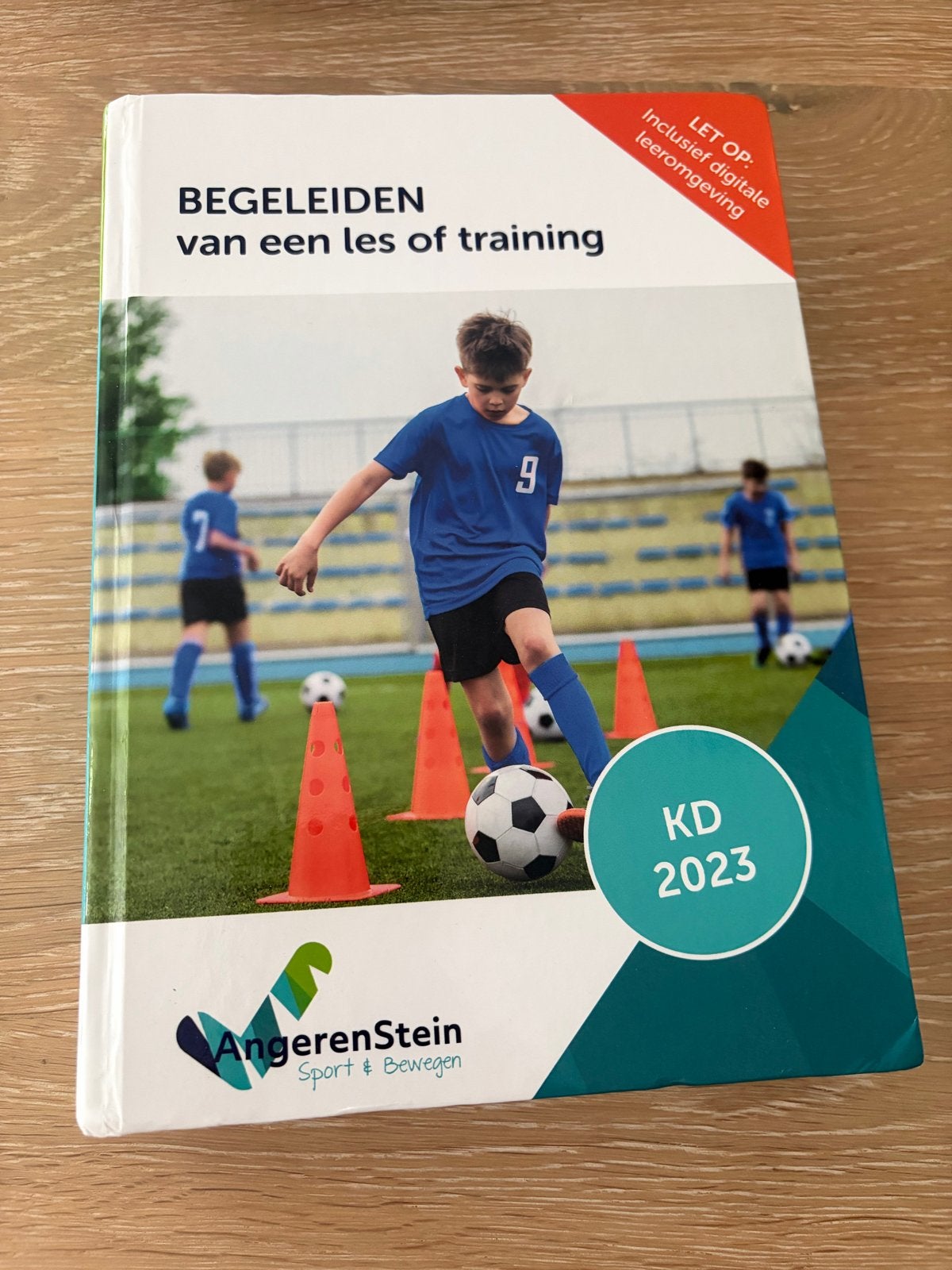Begeleiden van een les of training - AngerenStein KD 2023, Ophalen of Verzenden, Gamma, Zo goed als nieuw, MBO
