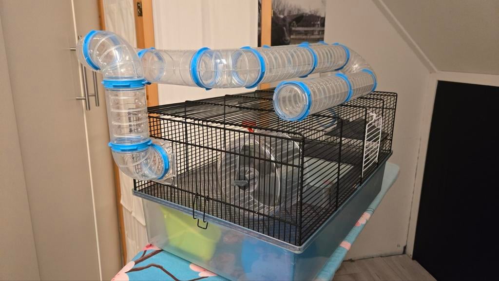 Hamsterhok  compleet met veel toebehoren, Ophalen, Minder dan 75 cm, Hok, Minder dan 60 cm