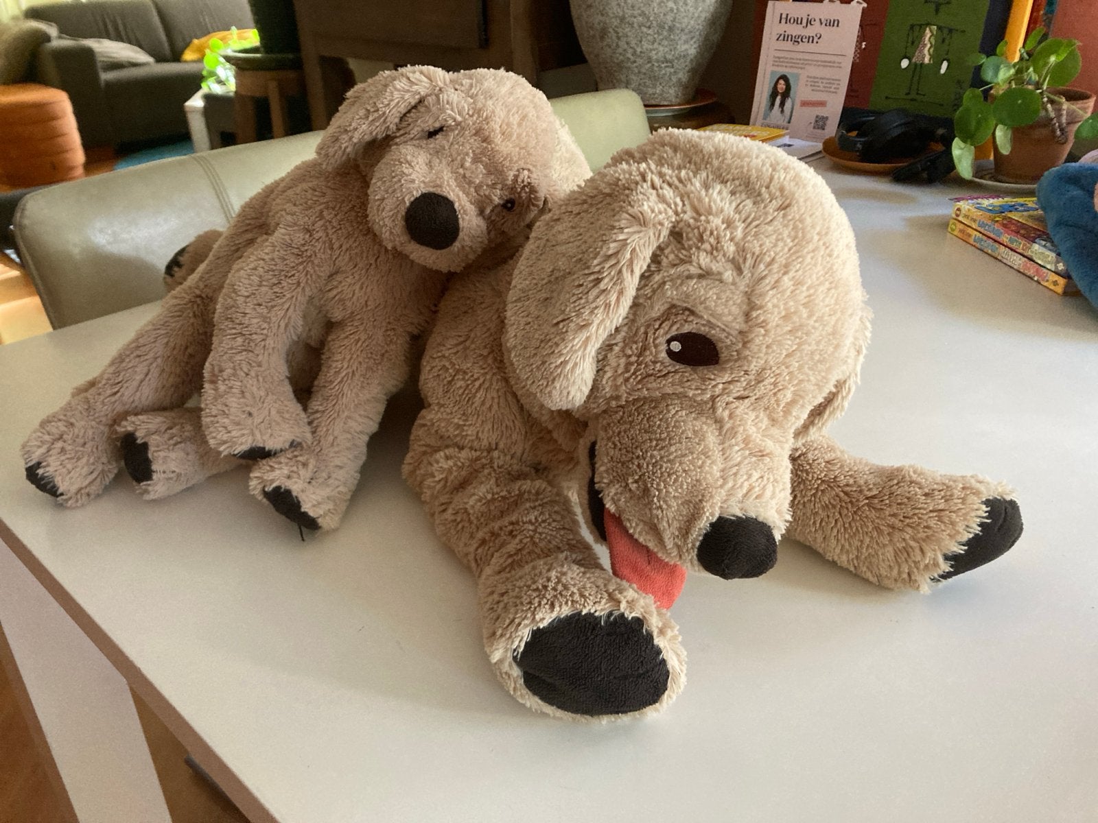 Grote en kleine knuffelhond - Labrador, Zo goed als nieuw, Beige, Groot (groter dan 80 cm), Hond