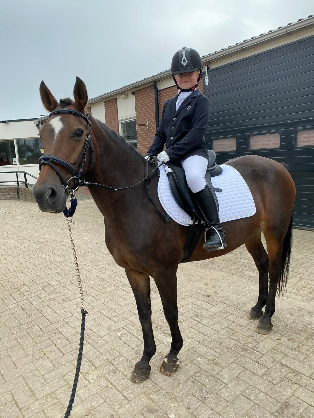 Bomproof New Forest leerpony 2005 (D-pony 1.42 m), Dieren en Toebehoren, Merrie, Met stamboom, L, 11 jaar of ouder
