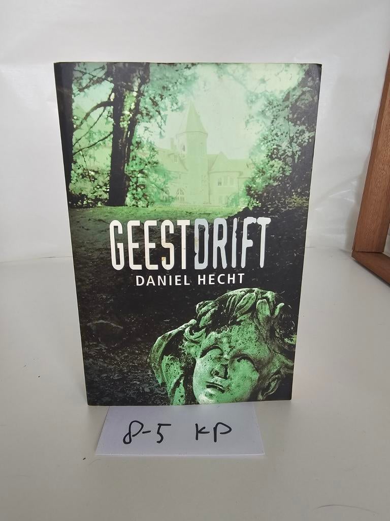Geestdrift - Daniel Hecht (Thriller), Boeken, Ophalen of Verzenden, Gelezen, Daniel Hecht, Nederland