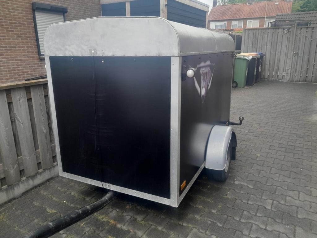 Schapen trailer, Dieren en Toebehoren, Vrouwelijk, Schaap