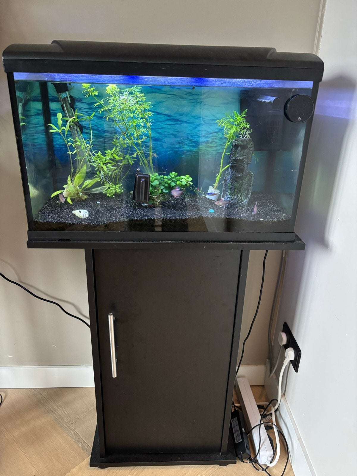compleet aquarium 60/ 70 l inclusief meubel, Ophalen, Gebruikt, Inclusief vissen, Gevuld zoetwateraquarium