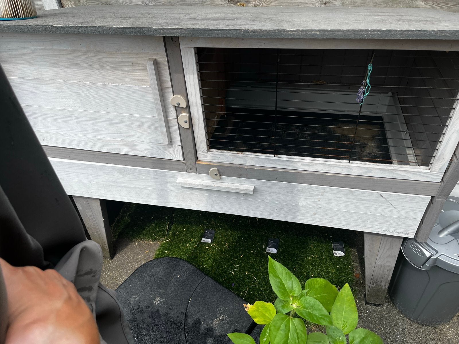 Caviahok, Hok, Ophalen, Minder dan 60 cm, 110 cm of meer