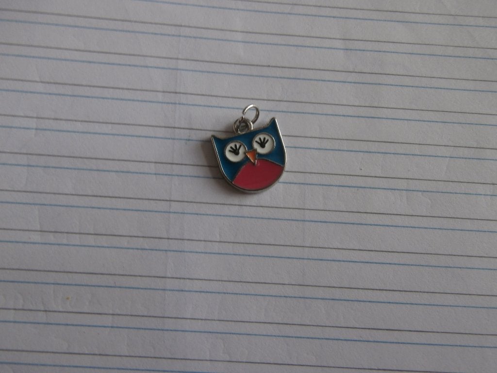 kettinghanger hanger kinder ketting uil in kleurtjes vogel, Ophalen of Verzenden, Zo goed als nieuw, Zilver, Overige materialen