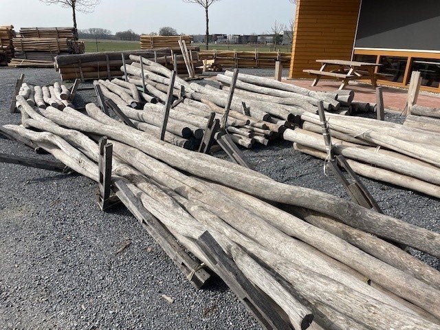 Robinia spintvrij geschuurd te koop, Ophalen, Nieuw, 250 cm of meer, Palen
