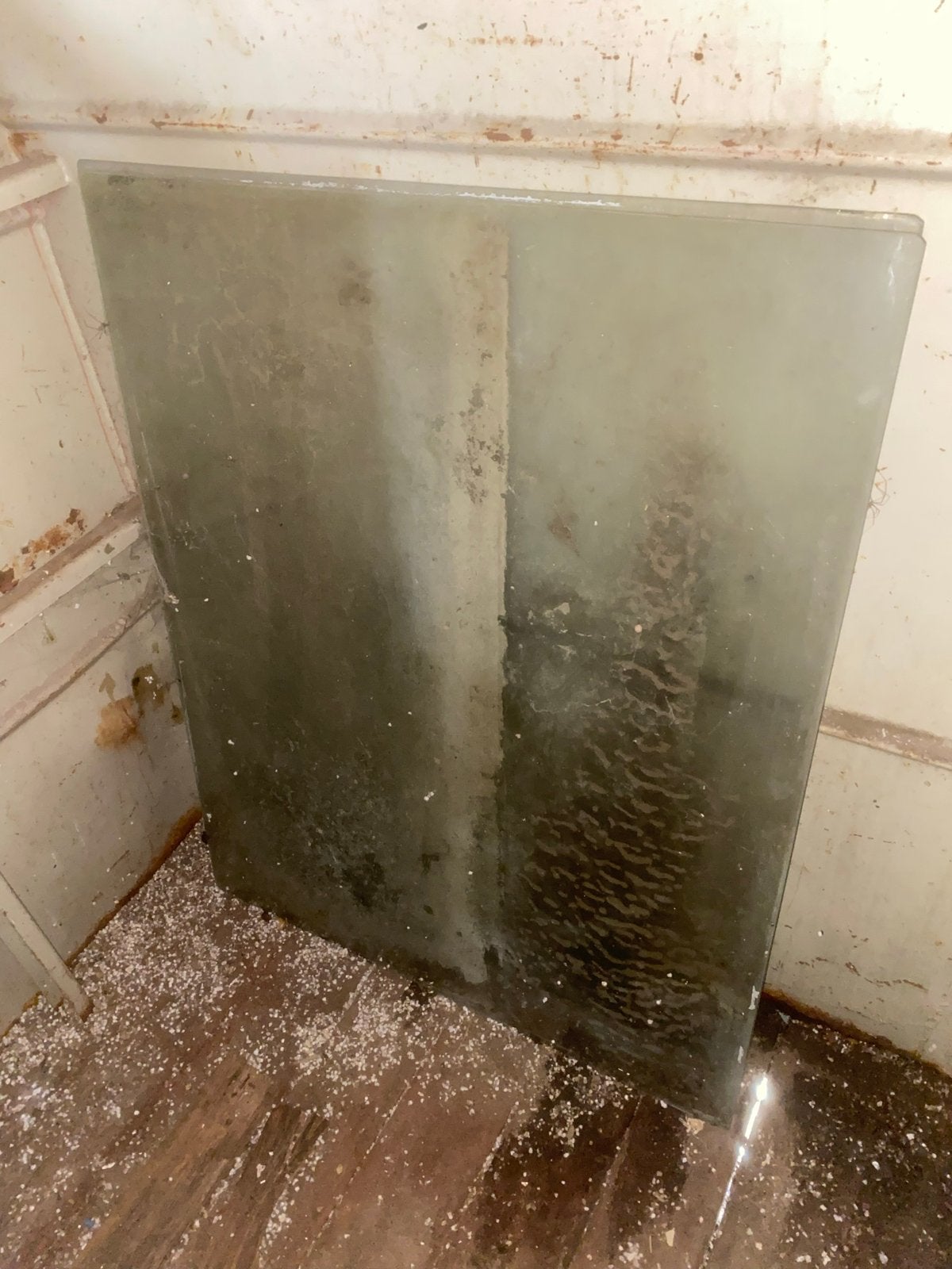 Glazen platen gratis af te halen, Doe-het-zelf en Verbouw, Glas en Ramen, Ophalen, Gebruikt, 80 tot 120 cm, 120 tot 160 cm