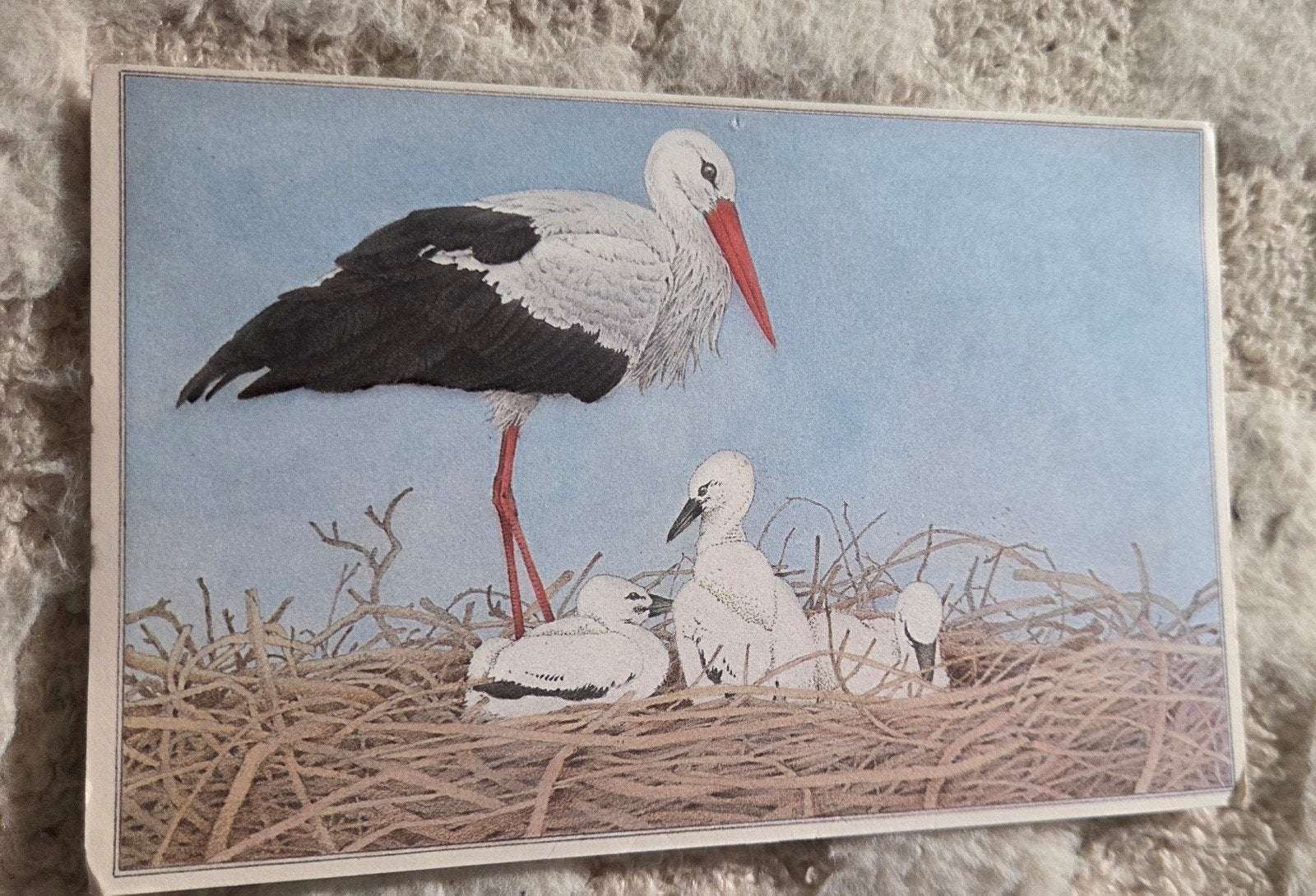 Ooievaar met jongen in nest, Verzenden, 1940 tot 1960, Gelopen, Vogel