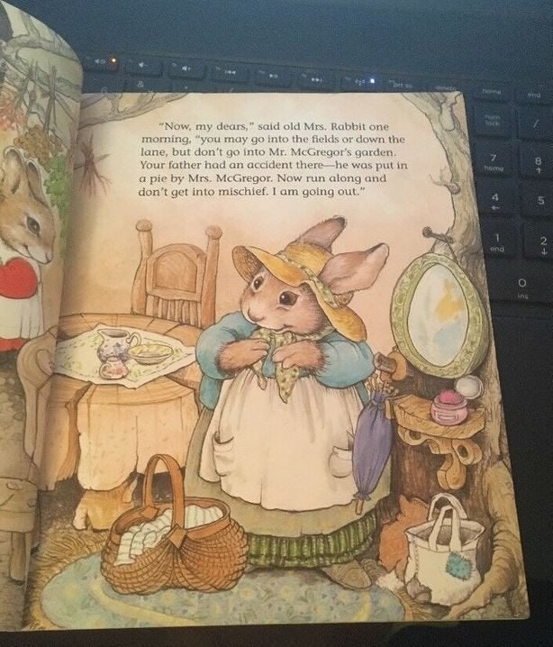 The Tale of Peter Rabbit Beatrix Potter Oud Boek, Boeken, Verzenden, Gelezen