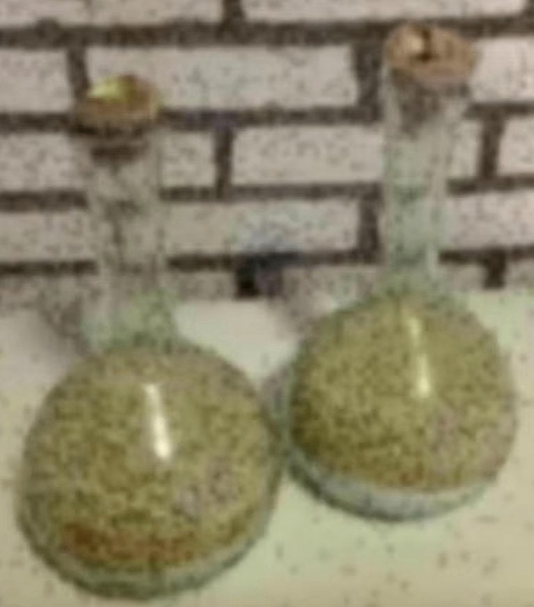 2 glazen flessen, vazen met schelp als dop, decoratie glas, Ophalen of Verzenden, Zo goed als nieuw, Glas