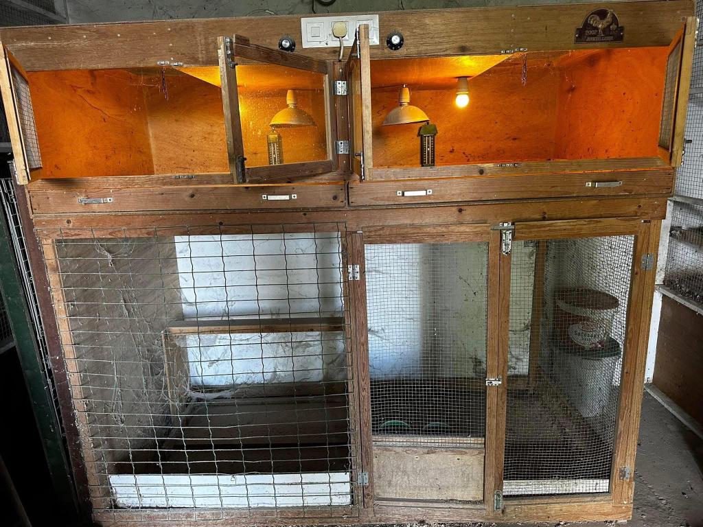 Kunstmoeder voor opfok kuikens en onderin een hok, Dieren en Toebehoren, Vogels | Hokken en Kooien, Ophalen, Zo goed als nieuw