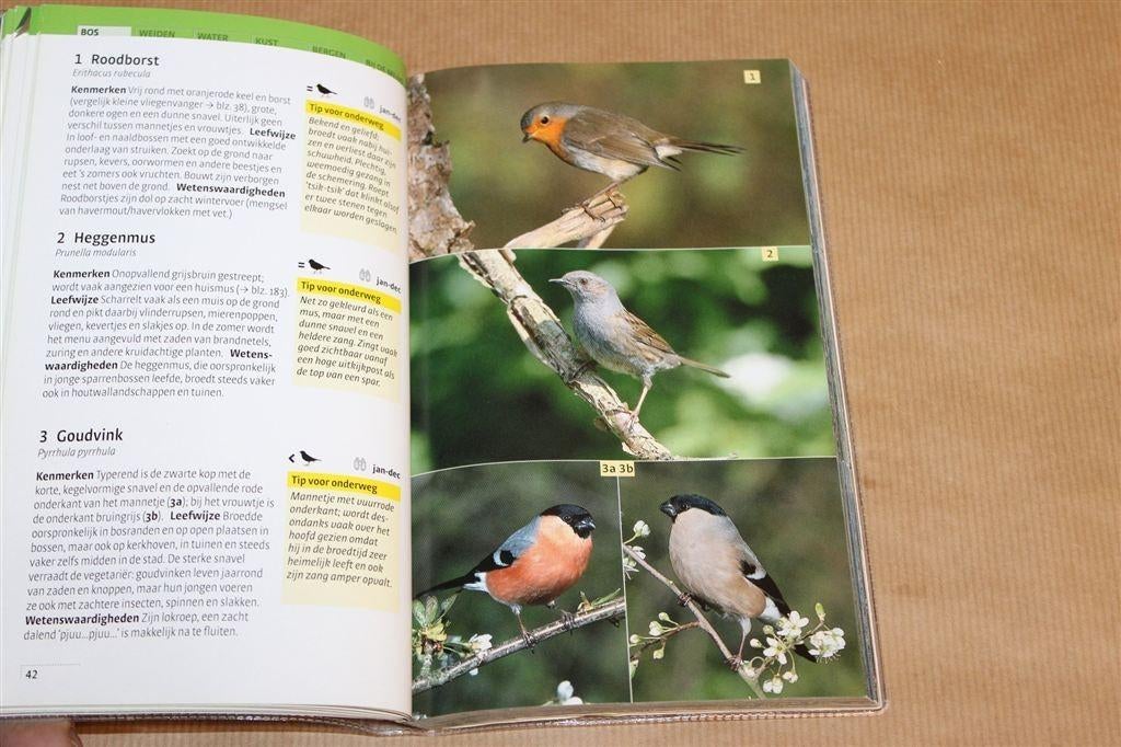 Vogelgids Voor Onderweg — Hecker & Hecker, Ophalen of Verzenden, Gelezen