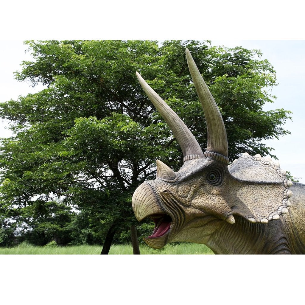 Triceratops – Dinosaurus beeld Lengte 434 cm, Ophalen, Nieuw, Overige typen
