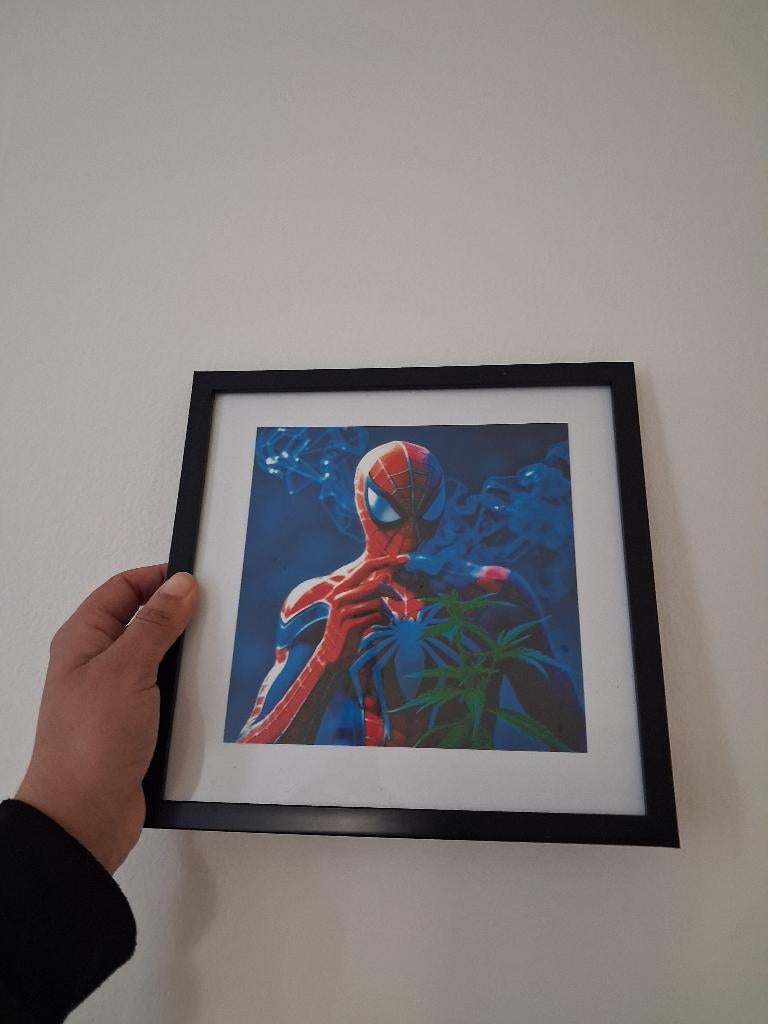 Kunstzinnig foto in foto lijst, Huis en Inrichting, Woonaccessoires | Lijsten, Ophalen, Minder dan 50 cm, Nieuw, Minder dan 50 cm