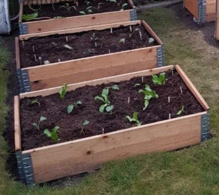8 Opzetranden moestuin tuin garden 10eu/stuk, Ophalen, Gebruikt, Minder dan 30 cm, 60 tot 100 cm
