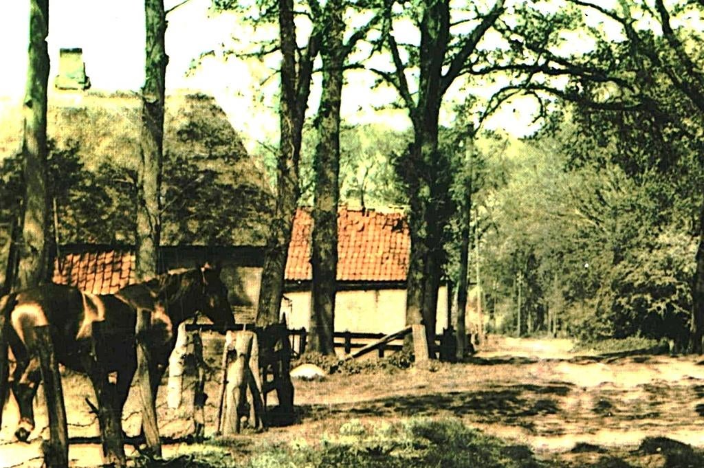 914416 Zuidwolde 1968 Drenthe Steenbergen Boerderij Gelopen, Verzamelen, Ansichtkaarten | Nederland, Ophalen of Verzenden, 1960 tot 1980