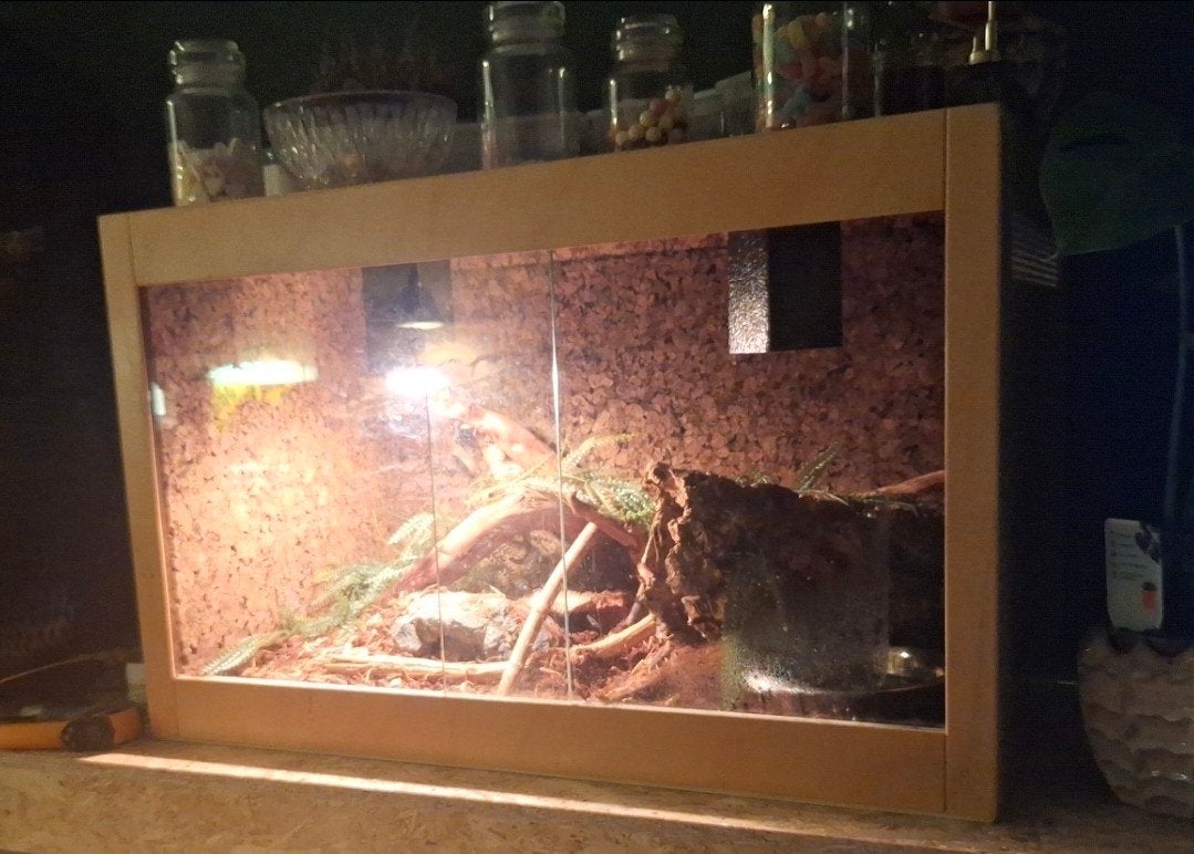Terrarium 93x59x55, Ophalen, Gebruikt, Terrarium of Paludarium