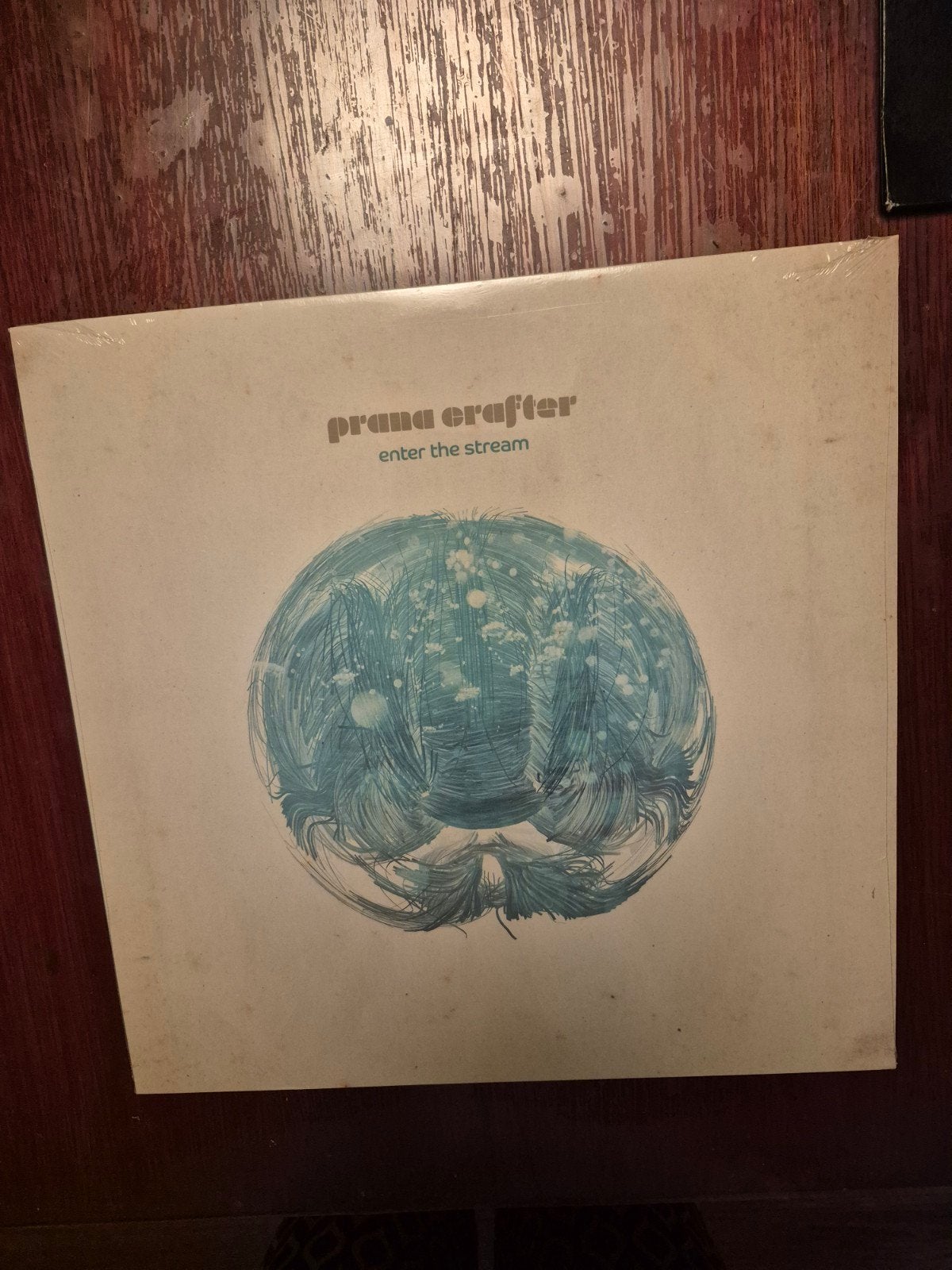Prana Crafter - Enter the Stream (2018) LP - Mint/Sealed, Geseald, Ophalen of Verzenden, Folk, LP