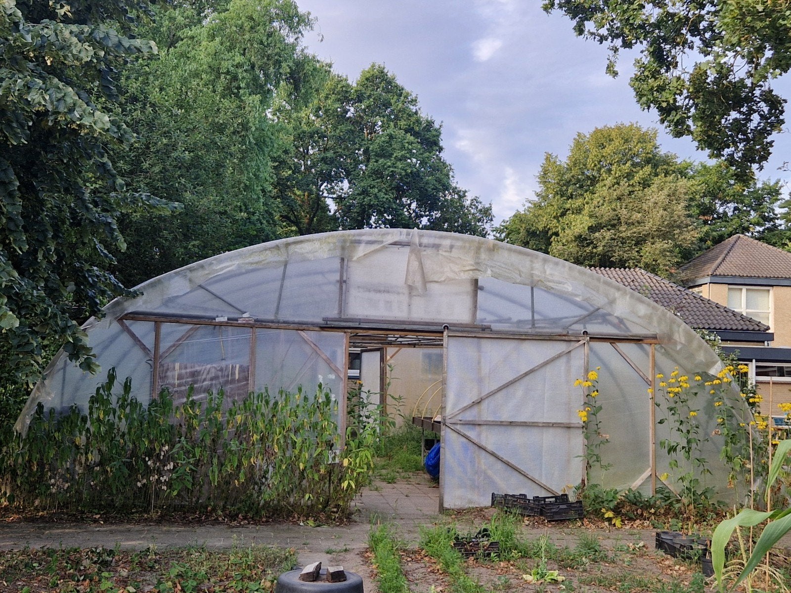Ruime tunnelkas voor moestuin of kwekerij, Gebruikt, Folie, Kweekkas, Ophalen