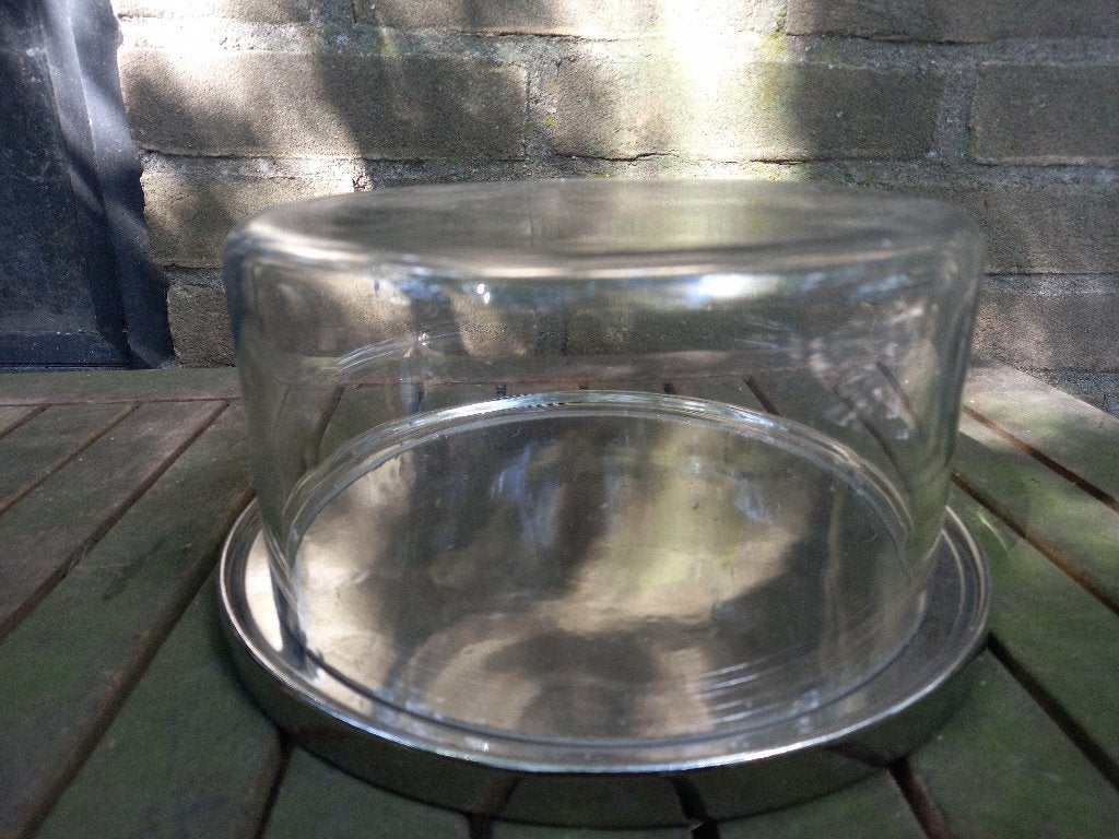 Glazen stolp met onderbord, Gebruikt, 20 cm, Ophalen of Verzenden, Met plateau