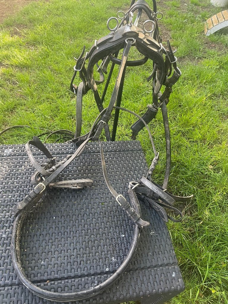 2 sulky’s en mentuig Shetland, Ophalen, Gebruikt, Recreatie