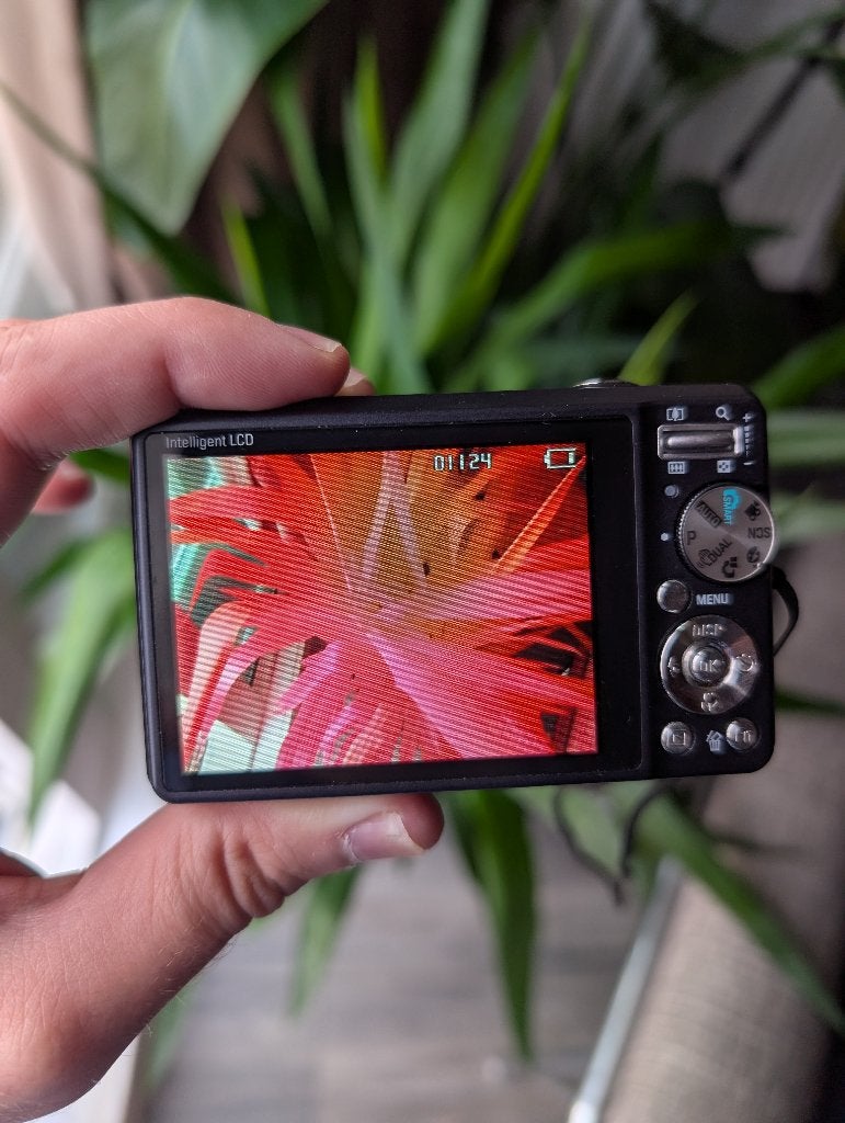 Samsung PL70 met infrarood mod, Ophalen, Gebruikt, 12 megapixels, Compactcamera