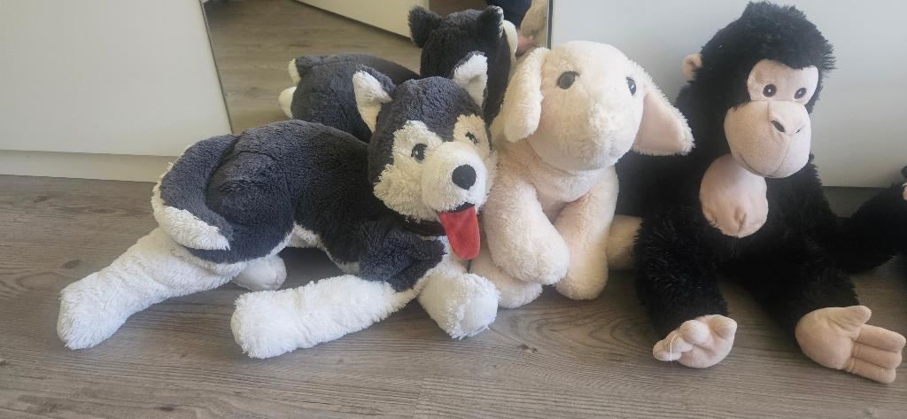 Knuffels, Ophalen of Verzenden, Zo goed als nieuw, Overige typen