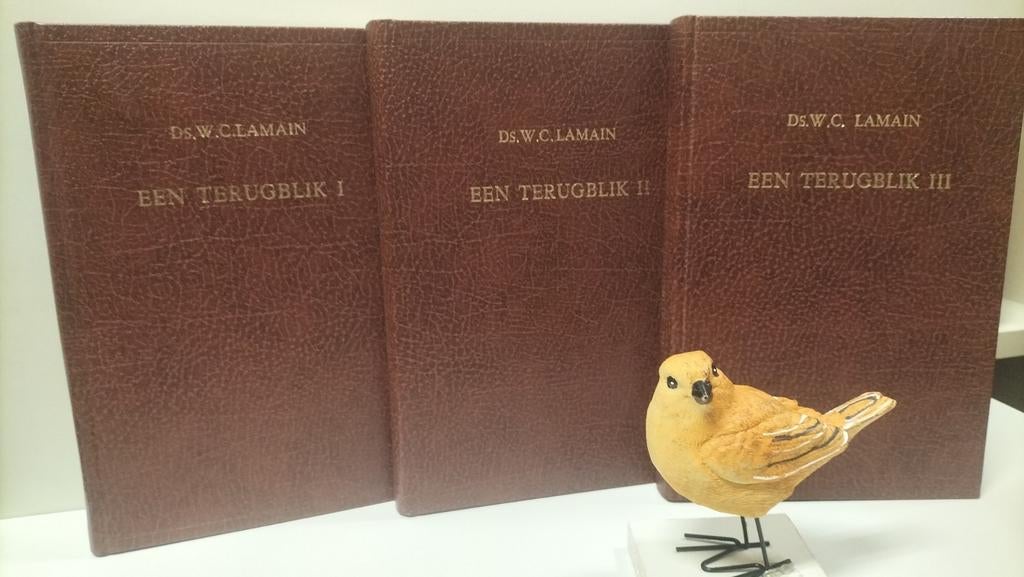 Lamain, Ds. W.C.; Een terugblik 3 delen, Boeken, Ophalen of Verzenden, Gelezen, Christendom | Protestants