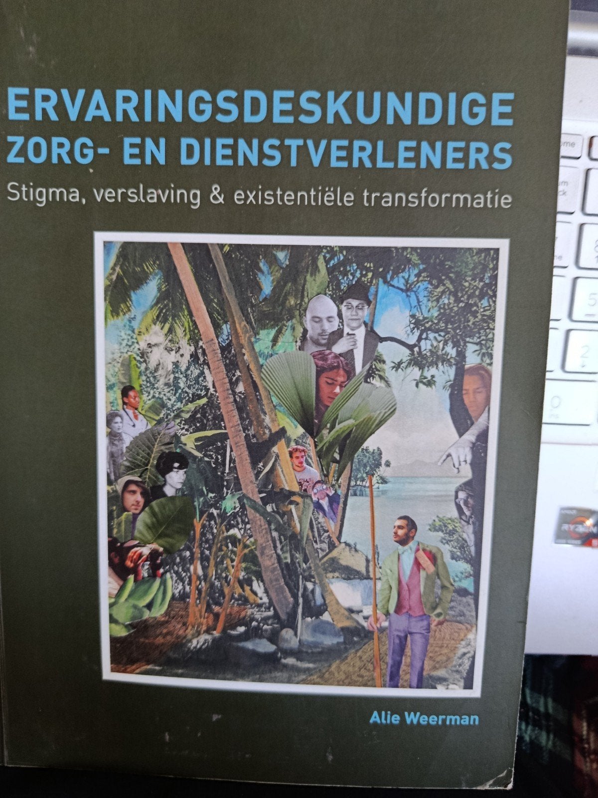 Alie Weerman - Ervaringsdeskundige zorg- en dienstverleners, Sociale wetenschap, Alie Weerman, Ophalen of Verzenden, Zo goed als nieuw