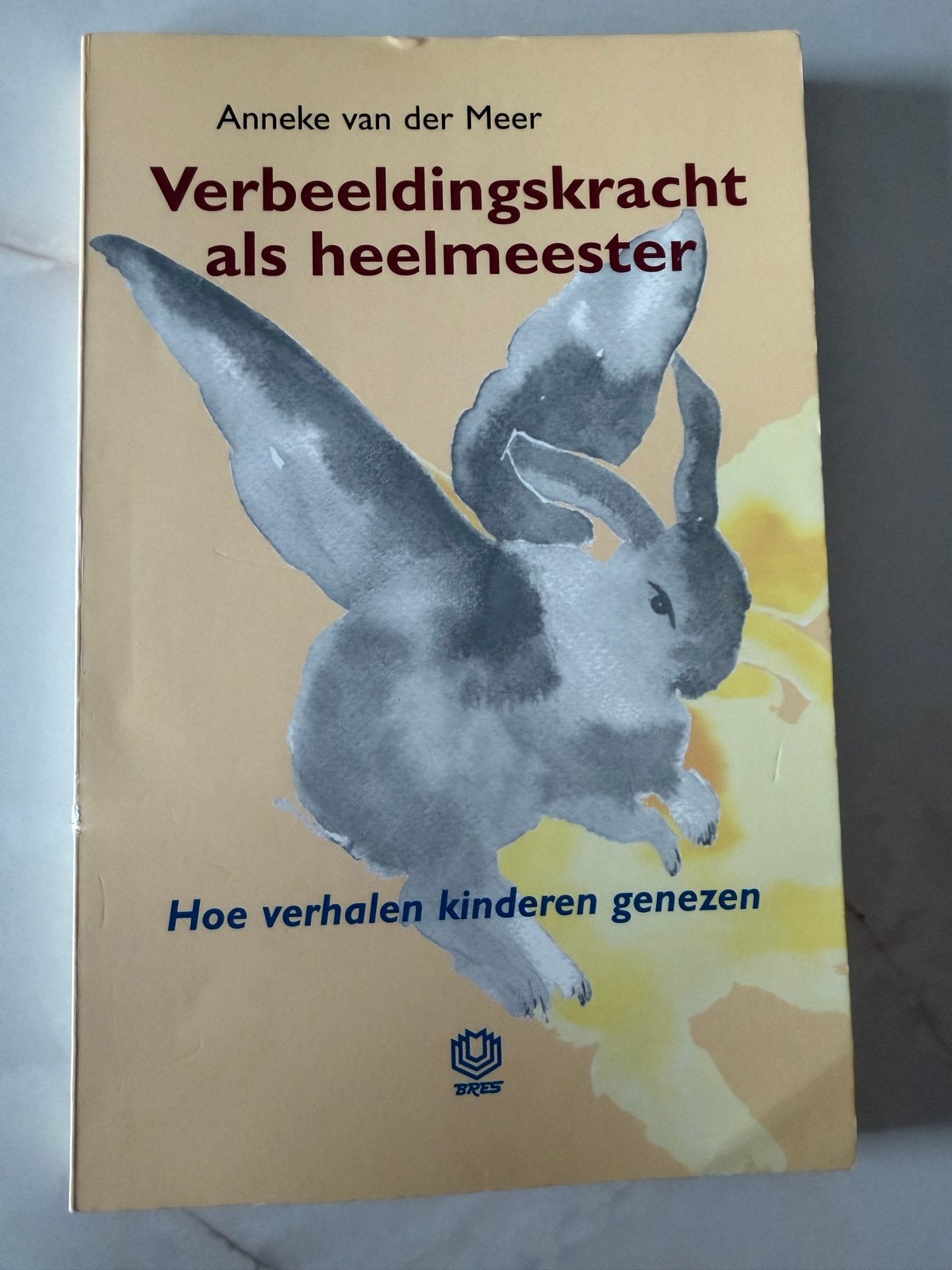 Verbeeldingskracht als heelmeester - Anneke van der Meer, Ophalen of Verzenden, Gelezen