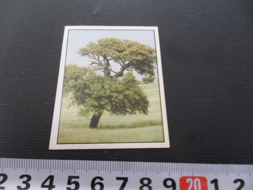 sticker panini WWF red de natuur #213, Ophalen, Zo goed als nieuw