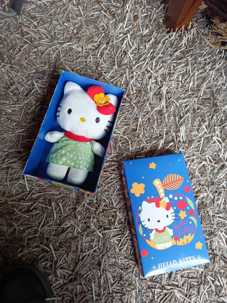 Hello Kitty Knuffel in Doos - Zo goed als nieuw, Met doos, Overige merken, Overige typen, Ophalen of Verzenden