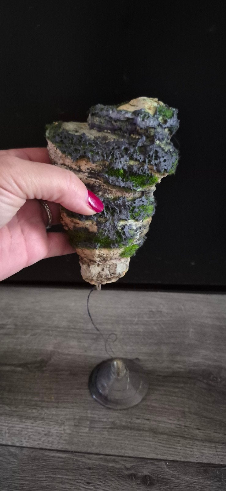 superfish floating stone S en L, Ophalen of Verzenden, Gebruikt, Decoratie