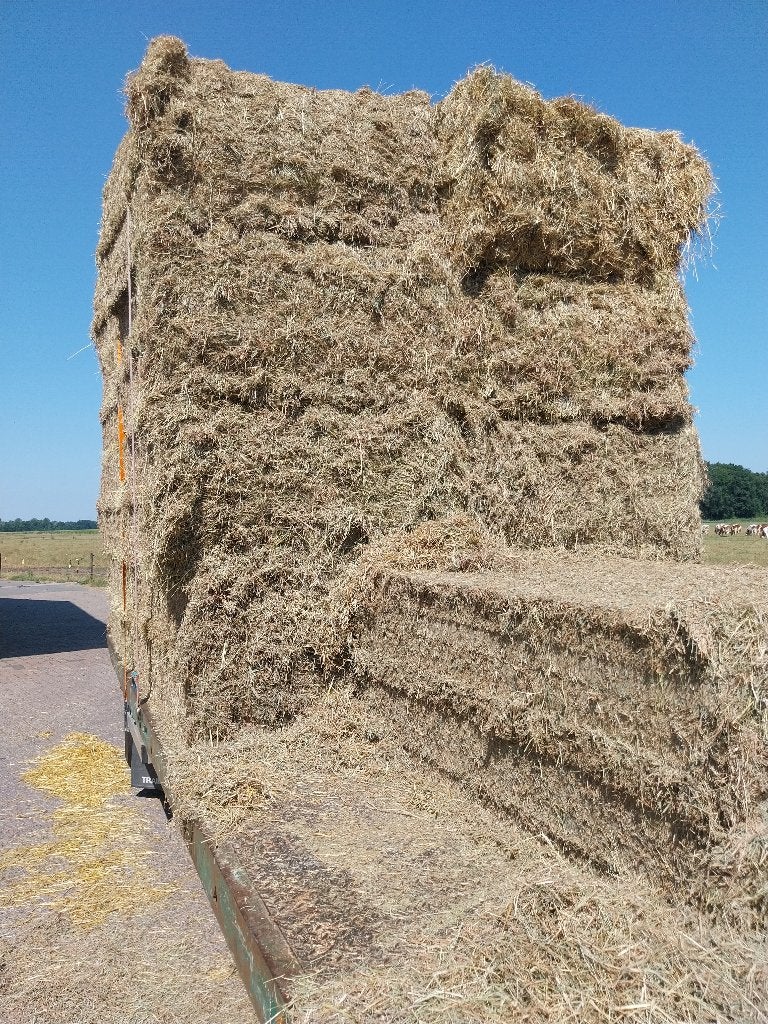 Hooi balen groot, Ophalen, Vee