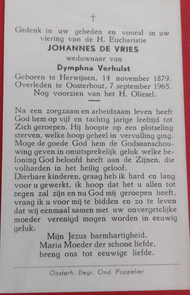 de vries, Ophalen of Verzenden
